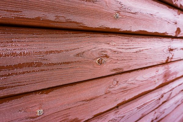 Cedar Siding Cleaning in Port Orange