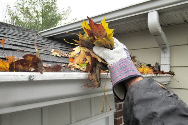 Eaves Cleaning in Port Orange